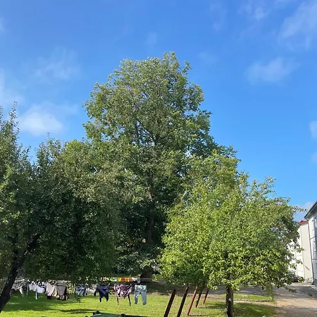 Cozy Place In Town Center Kuressaare